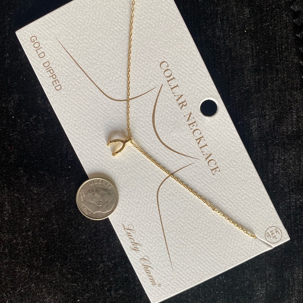 Collar necklace gold dipped